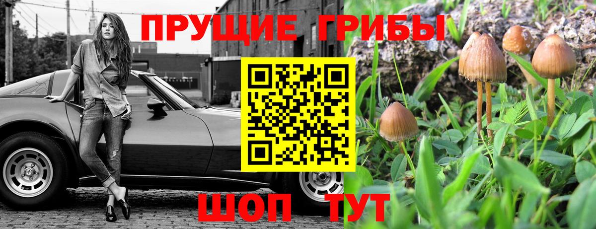 Галлюциногенные грибы Magic Shrooms Луга