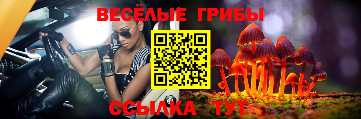 Галлюциногенные грибы мухоморы  Вход с VPN  Луга 